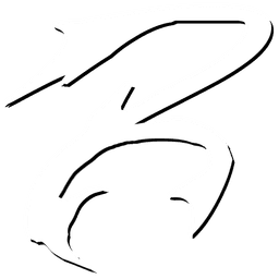 Roni Paschoal logo